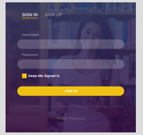 Bootstrap CSS Form Style 11